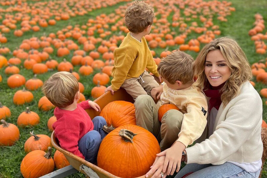 311383569_199930615787767_1516999311647810261_n-pic_32ratio_900x600-900x600-95885