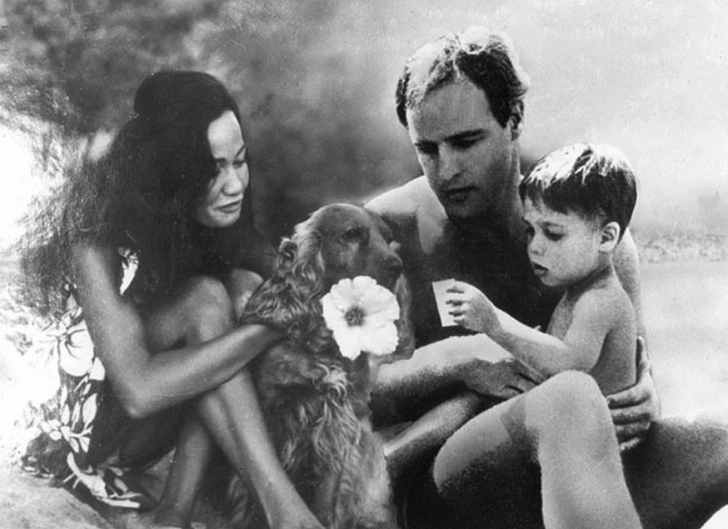 Дети Мэрлона Брандо — кто они и как выглядят, что делают ?