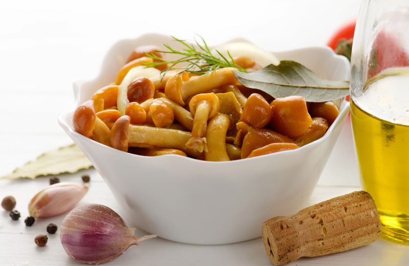 Як маринувати опеньки на зиму: 5 простих рецептів смачної закуски