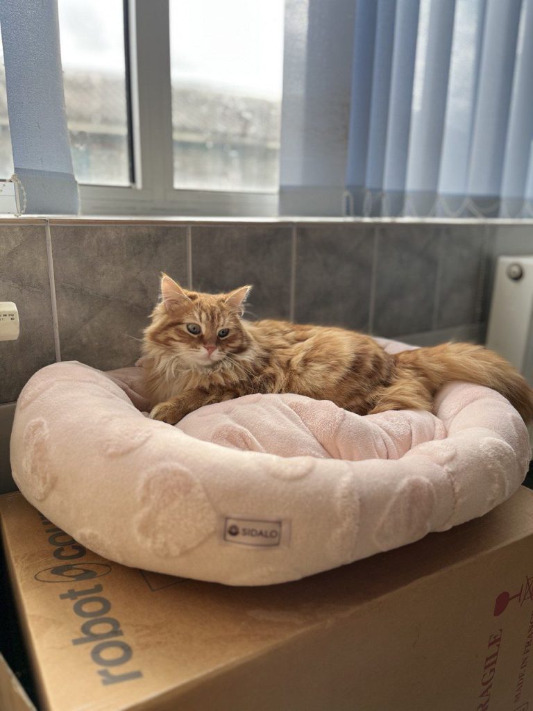 Ганна Кравцова і її мама Наталія