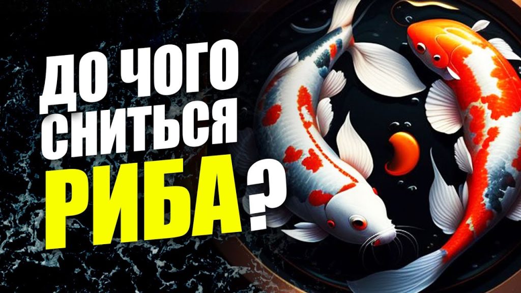 До Чого Сниться Риба: биография, личная жизнь и творческий путь