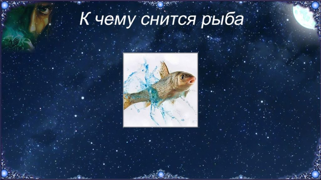 К Чему Снится Рыба: значение сна и его толкования