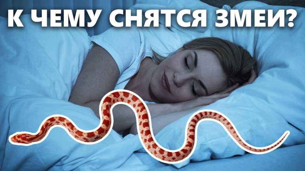 К Чему Снится Змея: Толкования и Символика в Разных Культурах