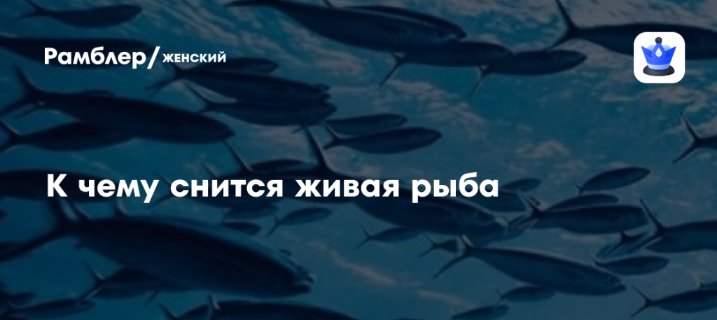 К Чему Снится Рыба: значение сна и его толкования
