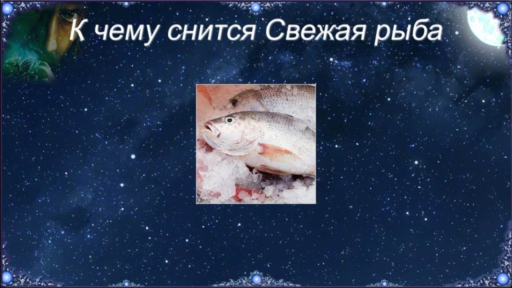 К Чему Снится Рыба: значение сна и его толкования
