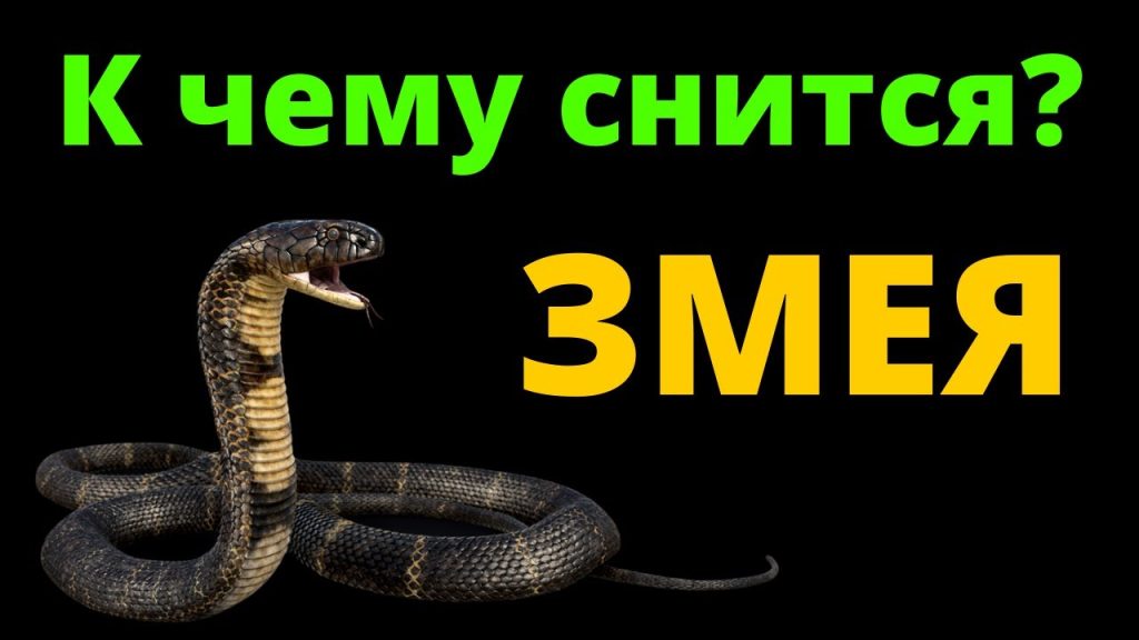 К Чему Снится Змея: Толкования и Символика в Разных Культурах
