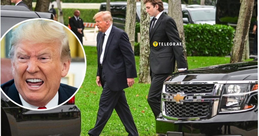Беррон Трамп Зріст: подробная информация о жизни и развитии